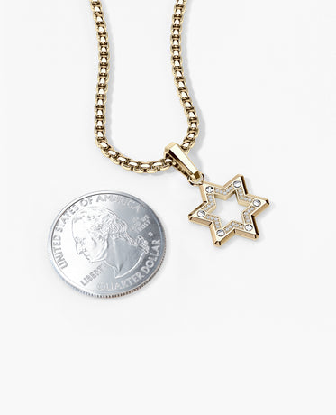 STAR OF DAVID in Two-Tone Gold Pendant with 0.10ct Diamonds - 25mm