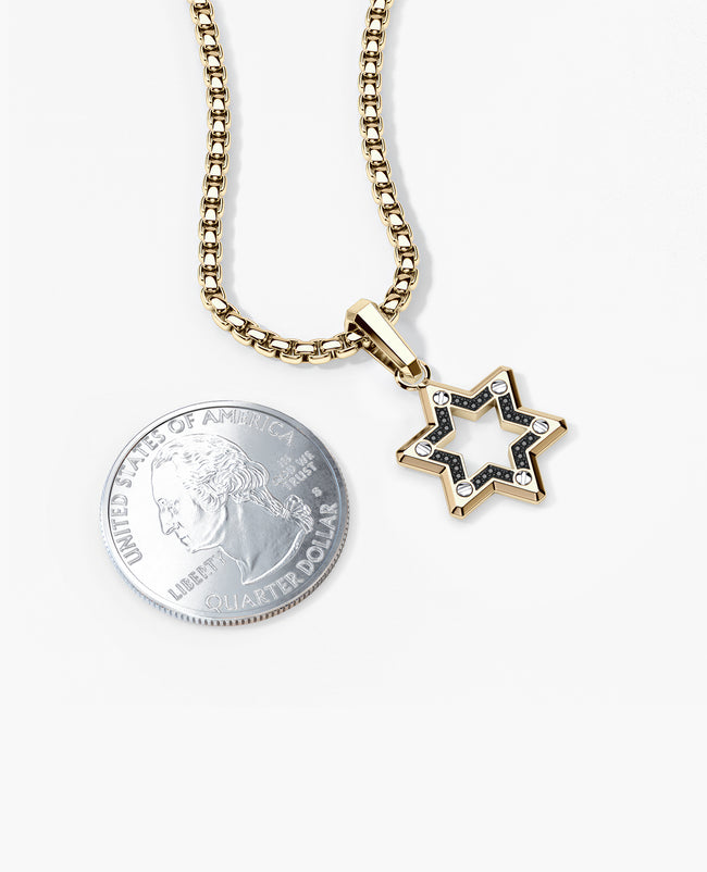 STAR OF DAVID in Two-Tone Gold Pendant with Black Diamonds
