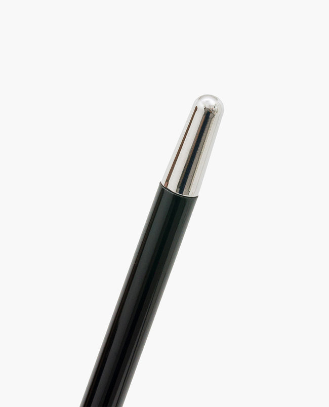 Rockford Collection x Pasotti Silver Plated Lion Cane - Handmade in Italy